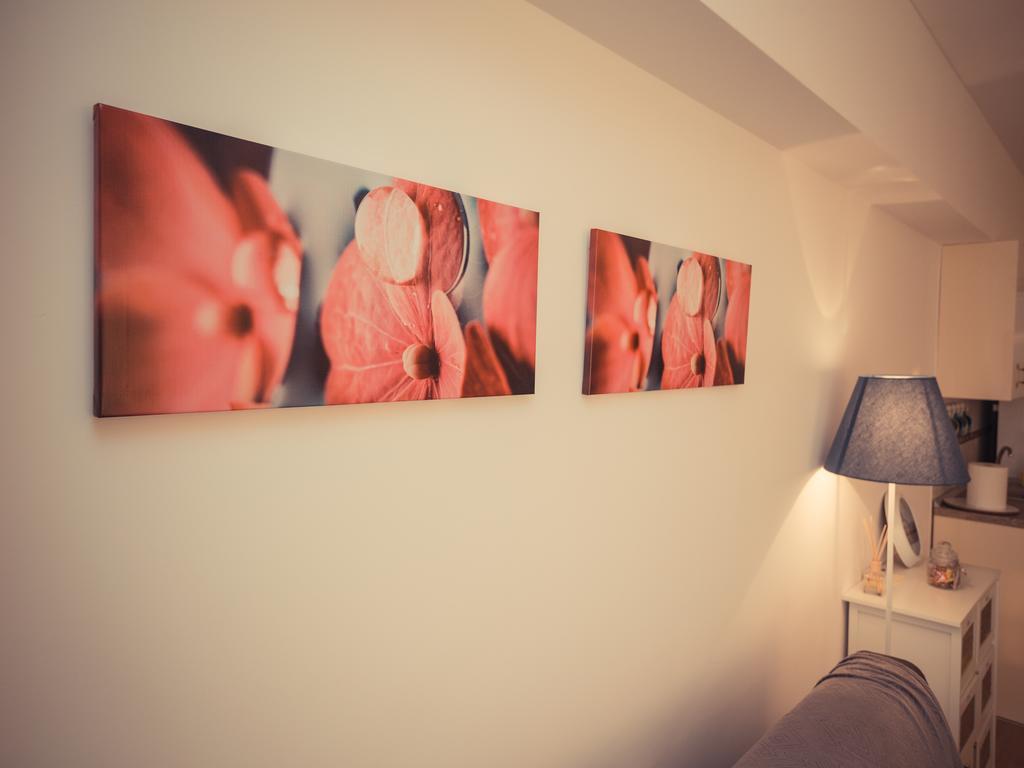 Apartment Lux Viva City Nr3 克卢日-纳波卡 外观 照片